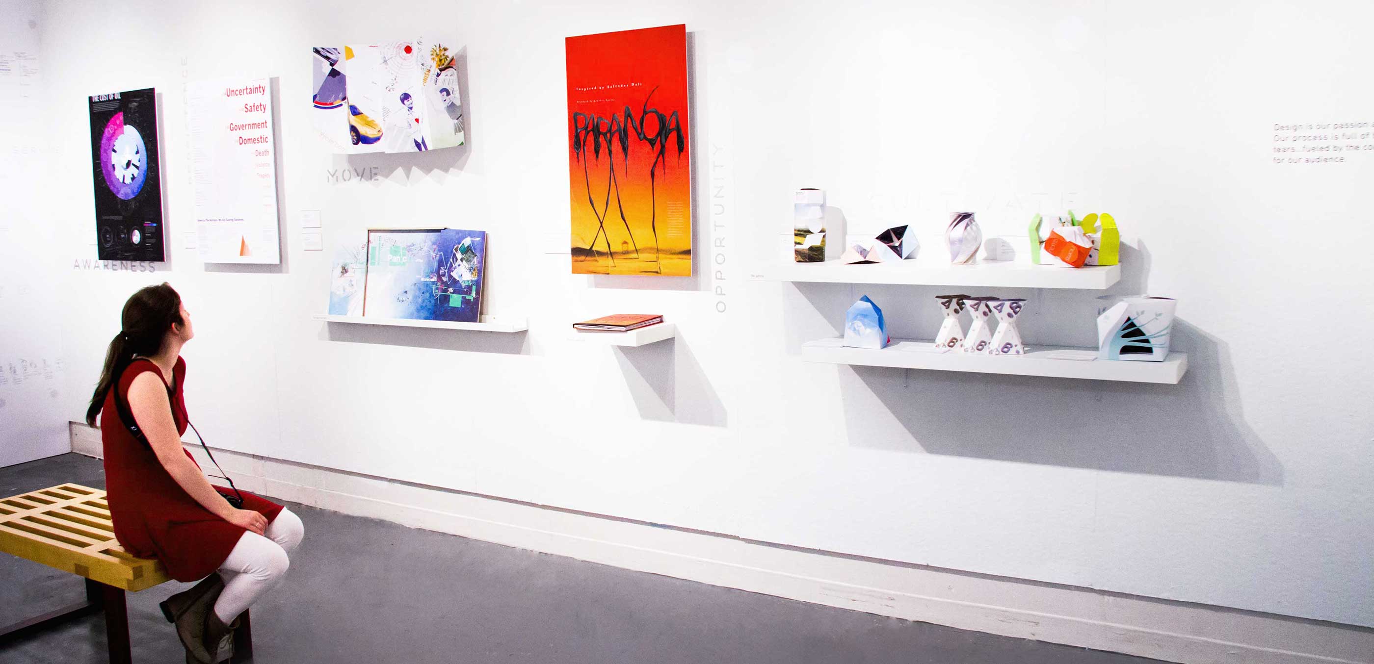 Poster and Packaging Wall