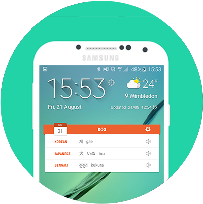 Foreign Language Widget